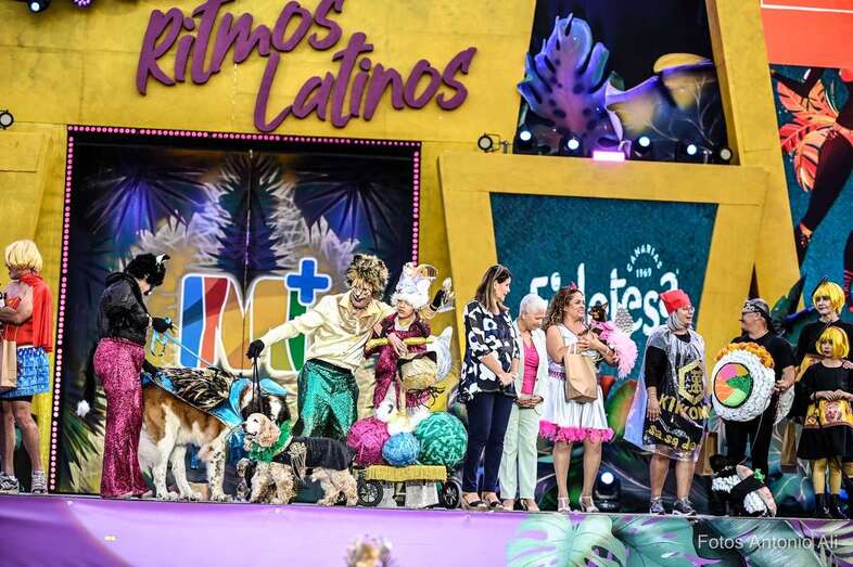 Imagen del certamen canino/Antonio Alí.